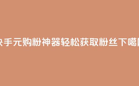 快手10元购粉神器，轻松获取1000粉丝 第1张