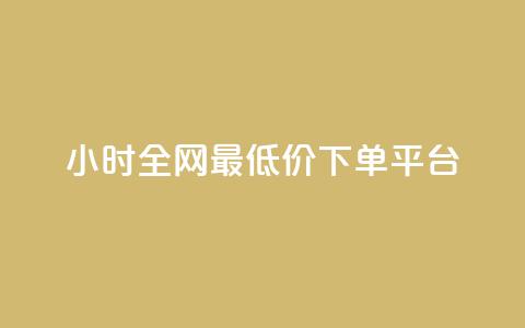 24小时全网最低价下单平台 - 24小时内最优惠的网络下单平台	。 第1张