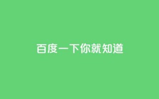 百度一下，你就知道